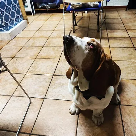 酒店 San Desiderio 拉帕洛