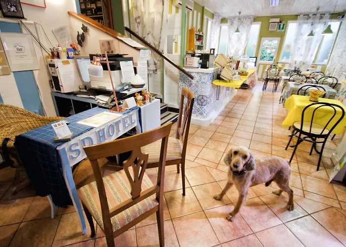 Hotel San Desiderio 2*